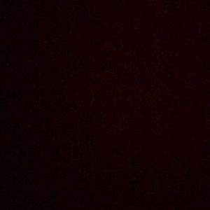 Meet your Posher, Dominique